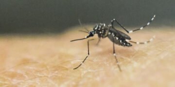 സിക്ക വൈറസെന്ന് സംശയം; തലശേരിയിൽ വിദ്യാർത്ഥികൾക്ക് ദേഹാസ്വാസ്ഥ്യം