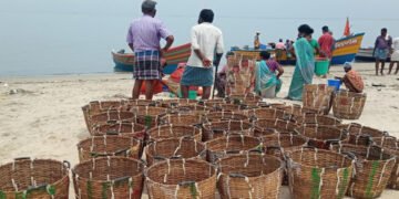 ചൂട് വർദ്ധിക്കുന്നു; മീനിനും, ഇറച്ചിക്കും വില കൂടും