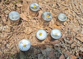 മദ്യലഹരിയിൽ യുവാവ്‌ തോട്ടത്തിന്‌ തീയിട്ടു; മോട്ടോറുകൾ കത്തിനശിച്ചു