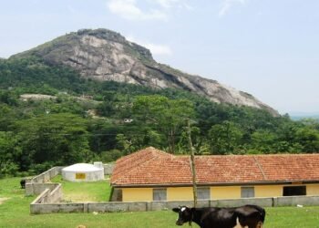 ‘കൂൺ ഇടി’യല്ല; വയനാട്ടിലെ ഭൂമിക്കടിയിലുണ്ടായ ഉ​ഗ്രസ്ഫോടനത്തിന്റെ ഭീതിയിൽ നാട്ടുക്കാർ